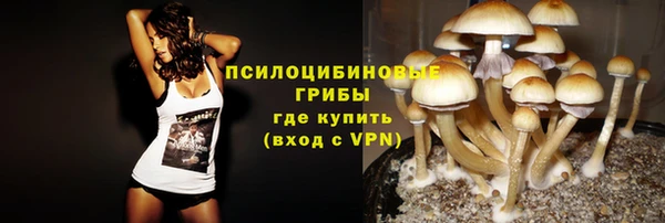 гидропоника Абдулино