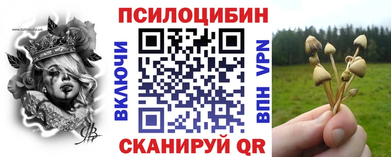 mega вход  Ханты-Мансийск  Галлюциногенные грибы Psilocybine cubensis 